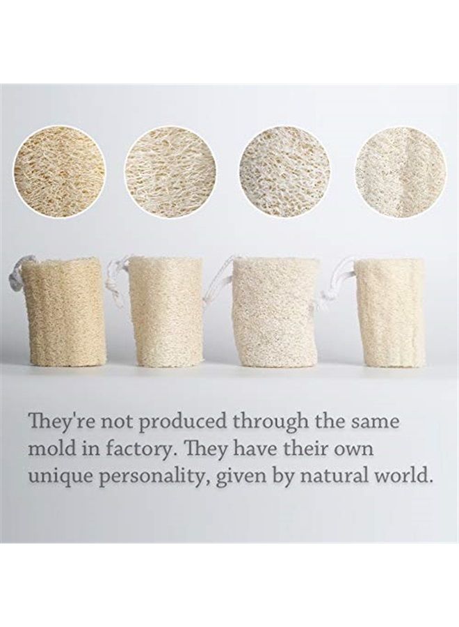 pisdoplop 4" Natural Loofah Exfoliating Body Sponge Scrubber for Skin Care in Bath Spa Shower Pack of 4 - Image 4
