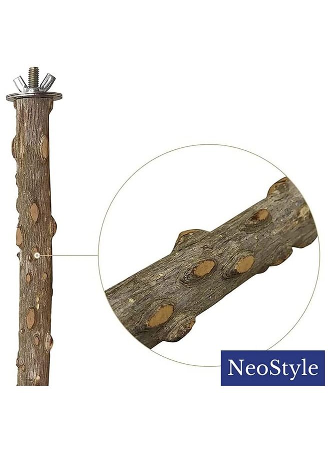 Neostyle Neostyle Parrot Toy Birds Stand Five Piece  - Image 5
