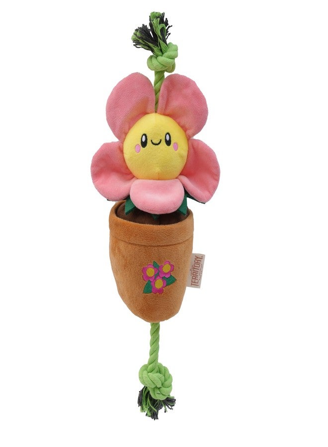 Territory Garden Treat-and-Tug Dog Toy - 19” Interactive Hide-and-Treat Toy with Pockets for Kibble & Treats - Squeaker, Crinkle Sounds, and Tug Play - Image 2