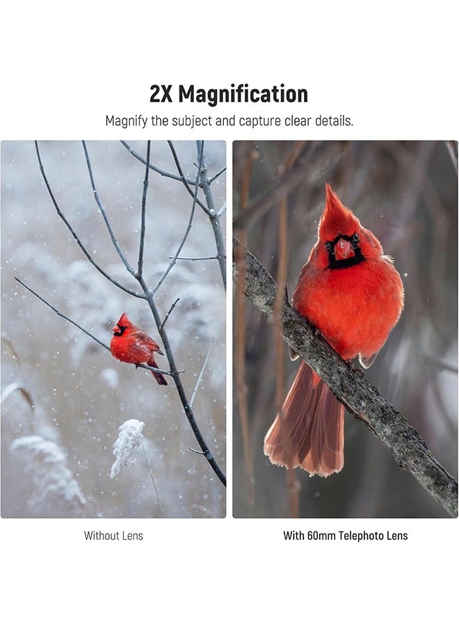 NEEWER 60mm Telephoto Lens with 17mm Thread Phone Lens Clip  67mm Filter Adapter Ring, 2X Magnification Compatible with iPhone Samsung, LS-41 PRO - Image 3