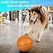 Amarlozn 6 Mini Basketball for Indoor Mini Basketball Hoop 6 Inch Replacement Basketballs Soft Ball for Inflatable Pool Hoop Pool Outdoor Play Game Gift Pack for Toddler Kids Adults Orange - Image 4