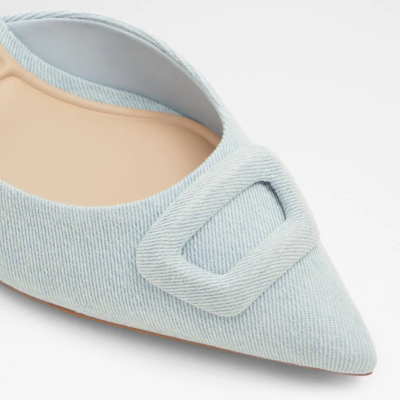 ALDO  LOUISETTE Pointed Toe Heeled Mules for Women | Best Price UAE