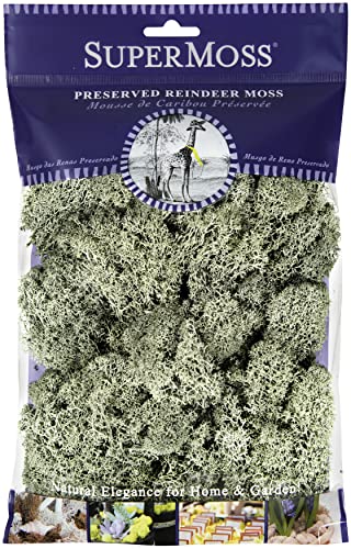 SuperMoss Super Moss (25116 Reindeer Moss Preserved, Moss Green, 2oz - Image 5