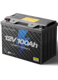 ECOFLOW Ecoflow 12V battery-100AH  - Image 1