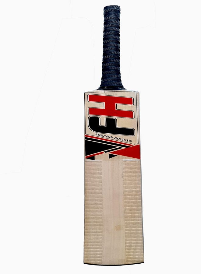 Foreign Holics Professional Kashmir Willow Wood Bat for Adult Full Size - Image 2