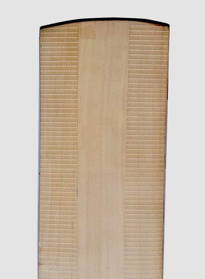 Foreign Holics Professional Kashmir Willow Wood Bat for Adult Full Size - Image 5