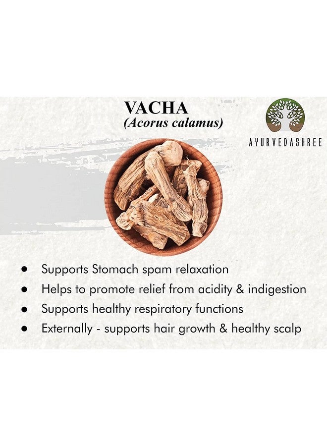 AYURVEDASHREE بودرة الكالاموس AYURVEDASHREE 100 جرام | بودرة فاشا | أكوروس كالاموس | عشب ذو رائحة عطرية عالية | يدعم المعدة | بودرة جذر أكوروس كالاموس | علم الأعلام | فاسامبو  - Image 2