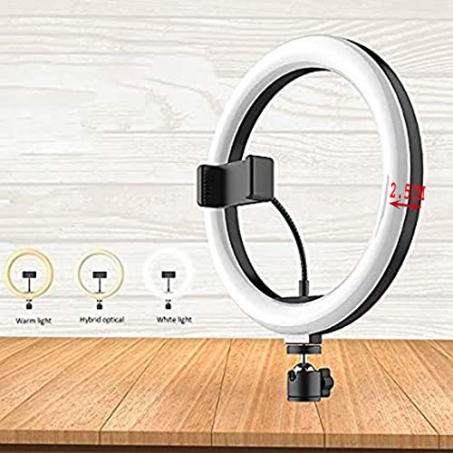 Whitecloud TRANSFORMING HOMES® 10 Inches LED Ring Light for Camera, Phone YouTube Video Shooting and Makeup(T 925,Black) 25.5x25.5x02 cm Plastic - Image 2