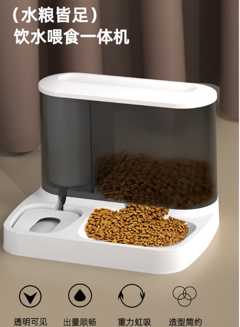 Automatic Pet Food and Water Dispenser
