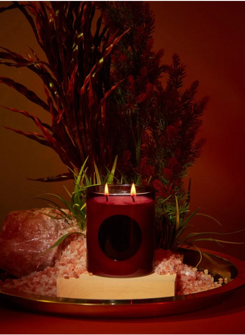 WXY Disco Candle - Velvet Woods & Amber - Disco Collection- Glass base -premium scented candle -
