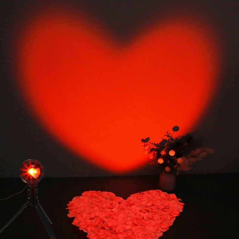 Glooglitter Heart Shaped Projection Lamp with 1000 Rose Petals Valentine's Day Sign Novelty Indoor Lamps USB Powered Romantic Night Light for Him Room Decorations Marry Me Proposal Weddings (Pink) - Image 1