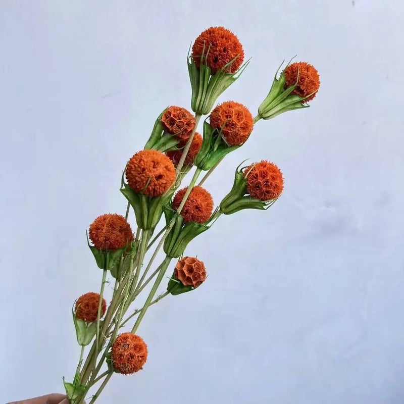 Bluejw Lulutong Handmade Dried Flowers - Premium Dried Plants for Wedding Home Decor, Mother's Day, Graduations, Festivals & Holidays - Image 5