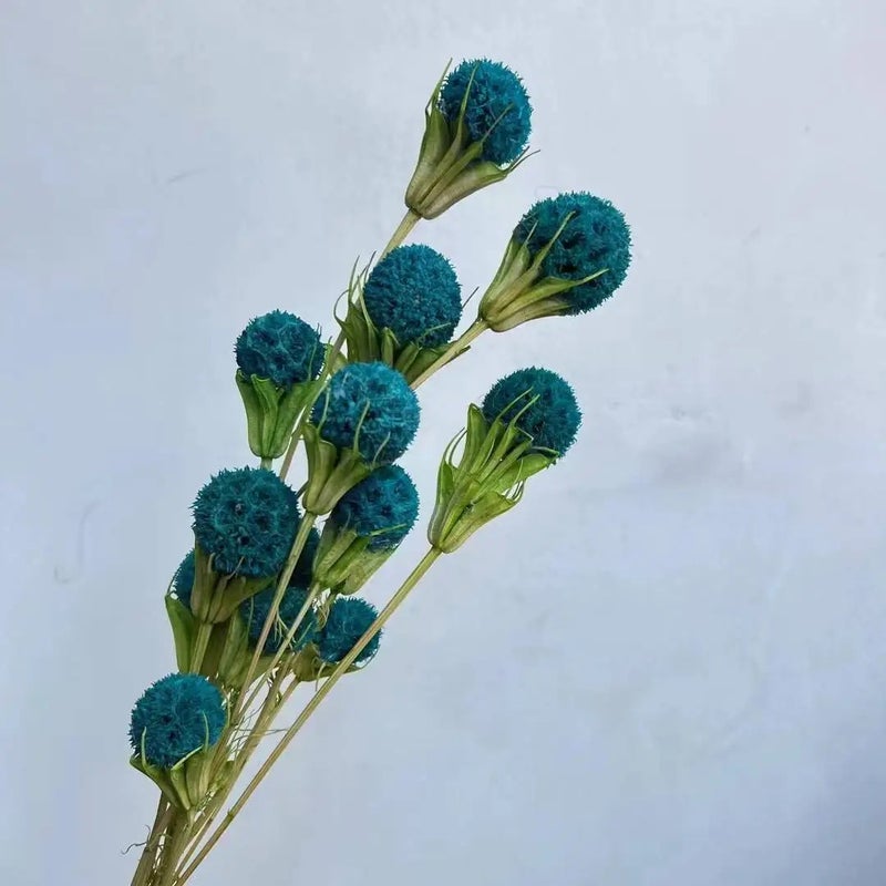 Bluejw Lulutong Handmade Dried Flowers - Premium Dried Plants for Wedding Home Decor, Mother's Day, Graduations, Festivals & Holidays - Image 3