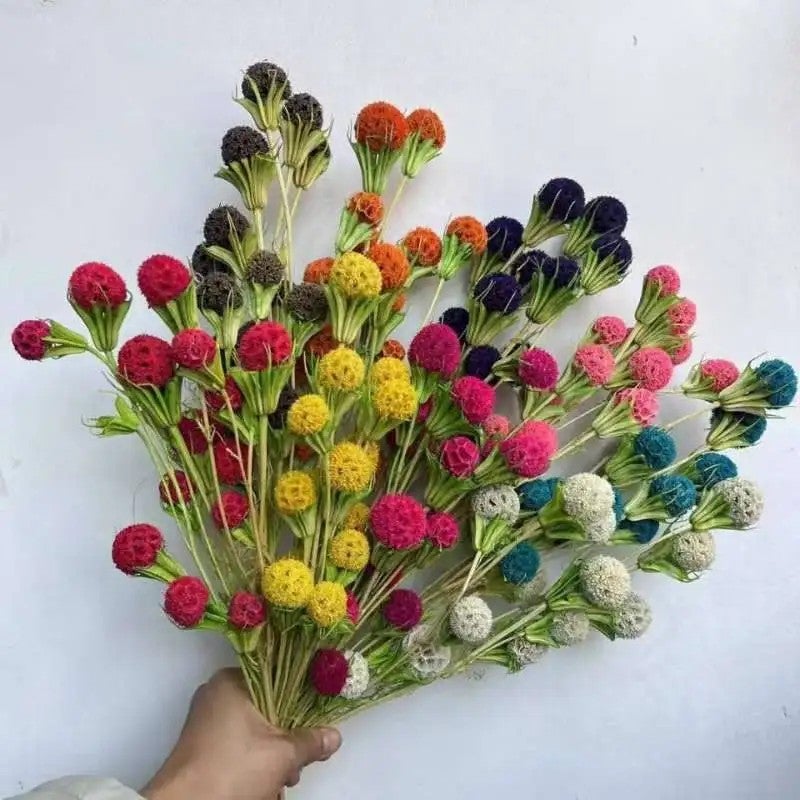 Bluejw Lulutong Handmade Dried Flowers - Premium Dried Plants for Wedding Home Decor, Mother's Day, Graduations, Festivals & Holidays - Image 4