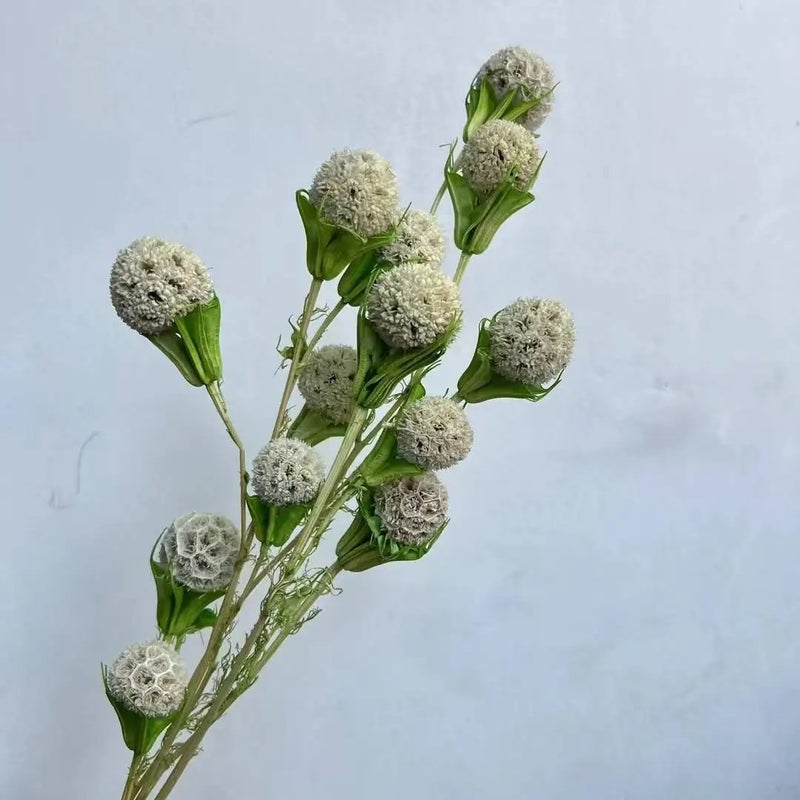 Bluejw Lulutong Handmade Dried Flowers - Premium Dried Plants for Wedding Home Decor, Mother's Day, Graduations, Festivals & Holidays - Image 2