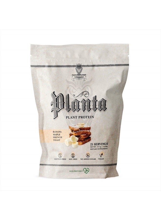 Ambrosia Planta - Premium Organic Plant-Based Protein | Vegan & Keto Friendly | Gourmet Flavors with No Bloating or Stomach Upset | Gluten & Soy Free | No Added Sugar | 25 Servings | Banana Maple - Image 1