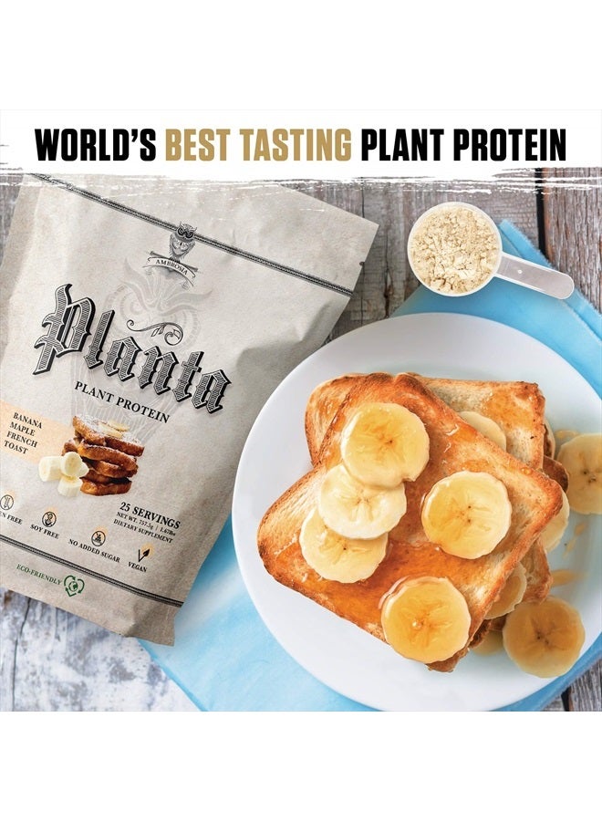 Ambrosia Planta - Premium Organic Plant-Based Protein | Vegan & Keto Friendly | Gourmet Flavors with No Bloating or Stomach Upset | Gluten & Soy Free | No Added Sugar | 25 Servings | Banana Maple - Image 2