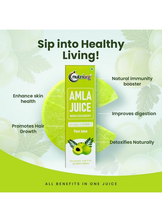 nutriorg Nutriorg Amla Juice 250ml | Amla Juice for Hair & Skin | Rich in Vitamin C | Cold-Pressed Indian Gooseberry | Detox Immunity Boosting | No Added Sugar | Pure & Natural - Image 4