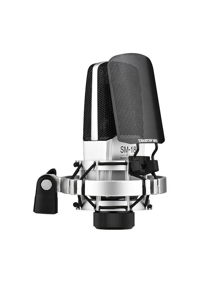 TAKSTAR - SM-18 EL Professional Recording Microphone Cardioid Condenser XLR Mic Kit with Adjustable Shock Mount Metal Pop Screen for Studio Vocal Music Instrument Live Stream Performance - Image 1