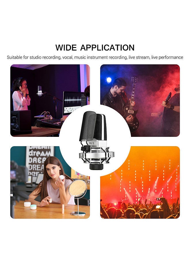 TAKSTAR - SM-18 EL Professional Recording Microphone Cardioid Condenser XLR Mic Kit with Adjustable Shock Mount Metal Pop Screen for Studio Vocal Music Instrument Live Stream Performance - Image 1