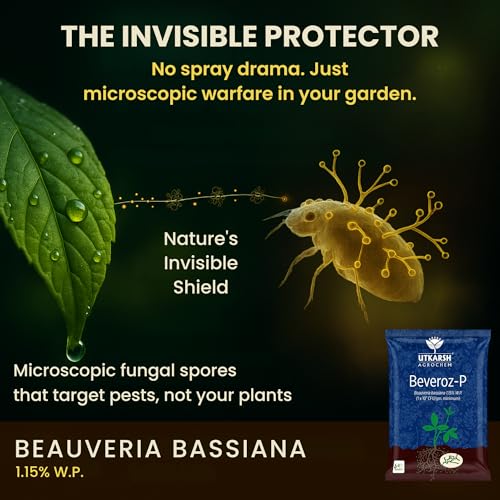 Utkarsh Beauveria Bassiana 1.15% W.P. 1 x 10^8 CFU/gm min. for Plants, Crops and Home Gardening - Beveroz-P (250 gm; Pack of 1) - Image 2