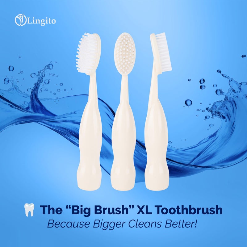 Lingito Smokers Toothbrush Wide-Head, Extra-Firm Hard-Bristle Oral Care for Tough Stains, Deep-Cleaning Manual Brush for Coffee & Tobacco-Stained Teeth, Premium Stain Removal & Brightening - (2 Pack) - Image 2