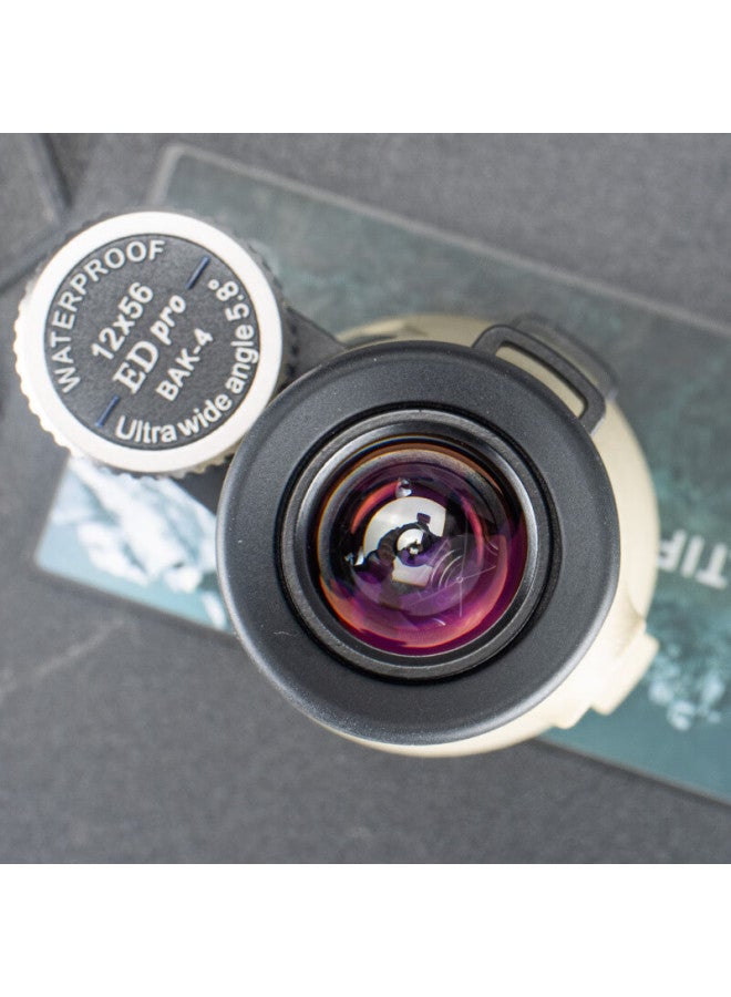 Panda High-definition High-power Monocular Nitrogen-filled Waterproof Portable Outdoor Birdwatching Bee Hunting Concert Wind Chaser 12x50 Binoculars - Image 2