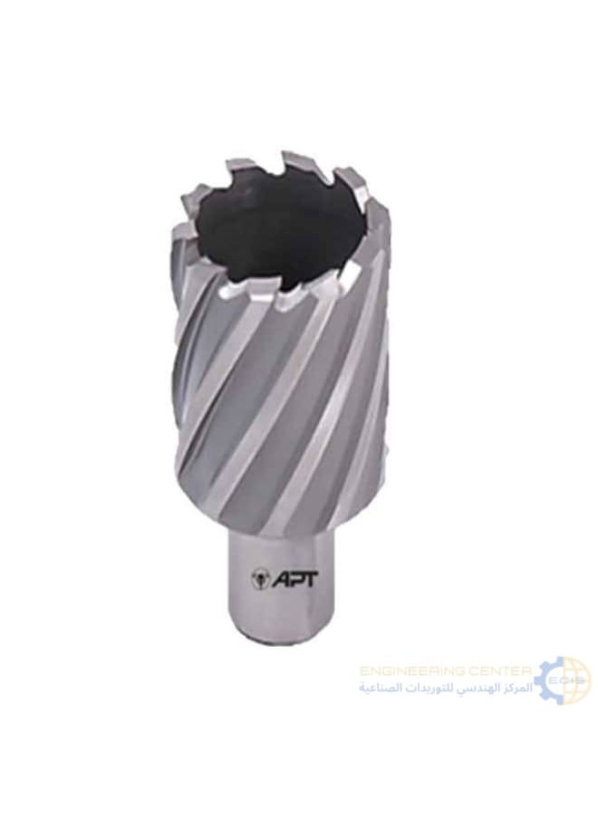 Apt Magnetic bit 28mm x 5.5cm APT HSS-XE 