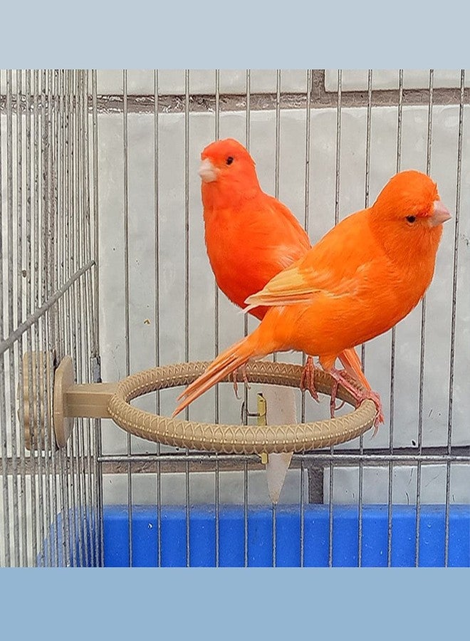 FOIBURELY 2 Ring Plastic Stand Perches Holders Canary Finch Budgie Bird Cage Universal Plastic Stand Perches Holders（4.6 Inches） - Image 4