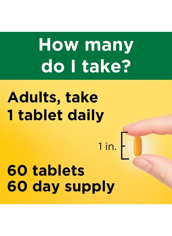 Time Release Vitamin B-100 High Potency B Complex, Dietary Supplement for Nervous System Function Support, 60 Time Release Tablets, 60 Day Supply