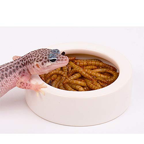 Abustle pig Reptile Food Water Bowl, 2 pcs Ceramics Worm Dish ,Anti-Escape Reptile Water Feeder ,Mealworm Bowl for Lizard Gecko Bearded Dragon, (S,M,L) (Large) - Image 5