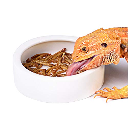 Abustle pig Reptile Food Water Bowl, 2 pcs Ceramics Worm Dish ,Anti-Escape Reptile Water Feeder ,Mealworm Bowl for Lizard Gecko Bearded Dragon, (S,M,L) (Large) - Image 1