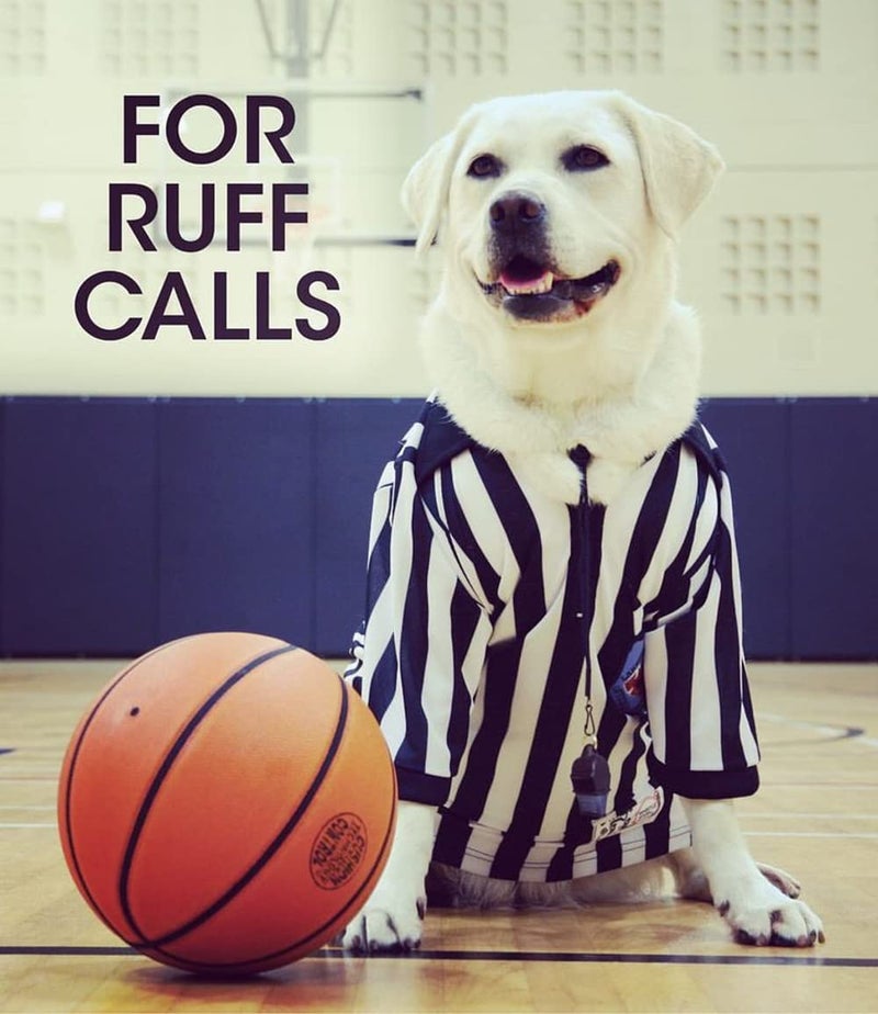 Fox 40 Sonik Blast CMG with Break Away Lanyard - Blue - Image 5