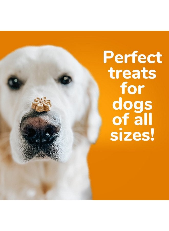 Fruitables Crunchy Baked Dog Treats | Pumpkin & Blueberry | 7 Ounces, Model Number: 2157 - Image 2