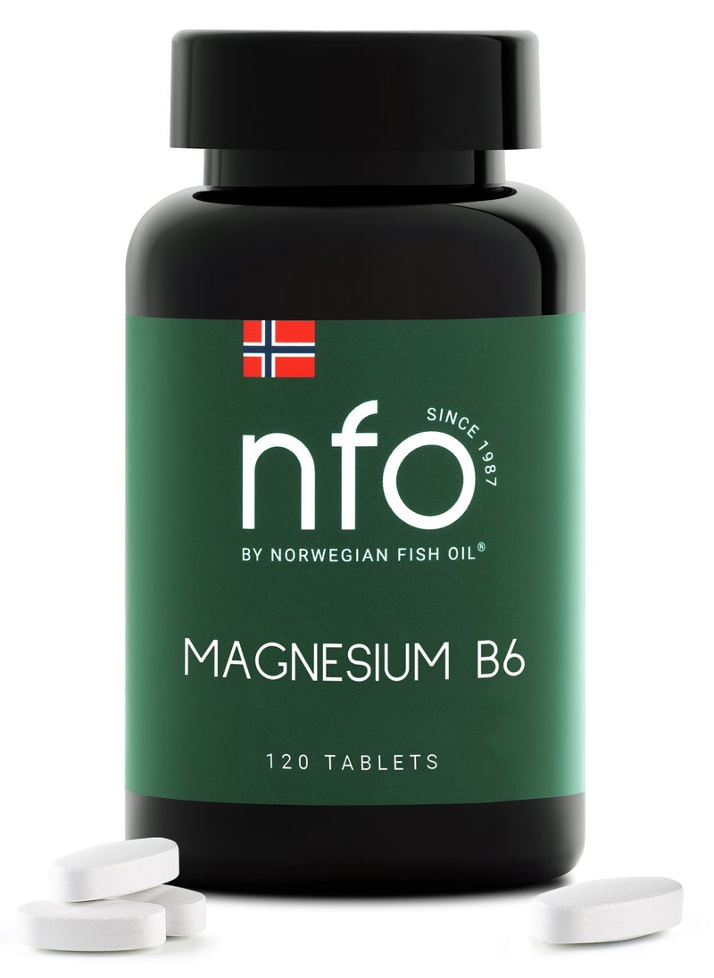 NFO NFO MAGNESIUM B6 [120 Tablets]  - Image 1