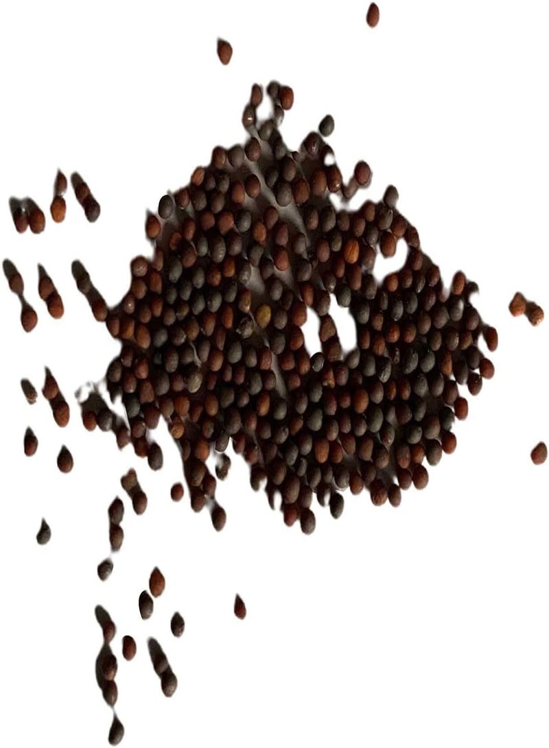 جي جوت 500 قطعة/حقيبة بذور باك تشوي أوراق على شكل ملعقة غير معدلة وراثيًا شتلات خضراء للحديقة الخارجية للمنزل وفناء المنزل بذور خردل تاتسوي ناعمة - Image 1