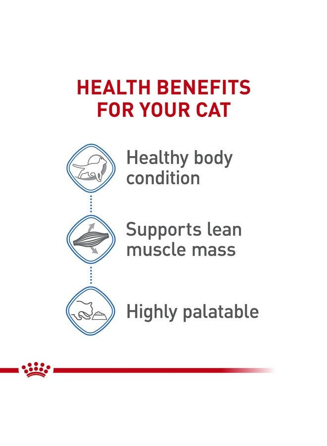 رويال كانين طعام القطط المعلب من Feline Care Nutrition Ultra Light Thin Slices In Gravy، عبوة 3 أونصة (عبوة من 24 قطعة) - Image 3