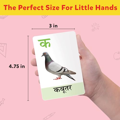 Little Berry Flash Cards for 3 Year Old | 72 Double-Sided English-Hindi Flashcards with 120+ Pictures | Alphabet, Animals, Fruits & Learning Cards for Kids | Preschool Educational Toy - Image 2