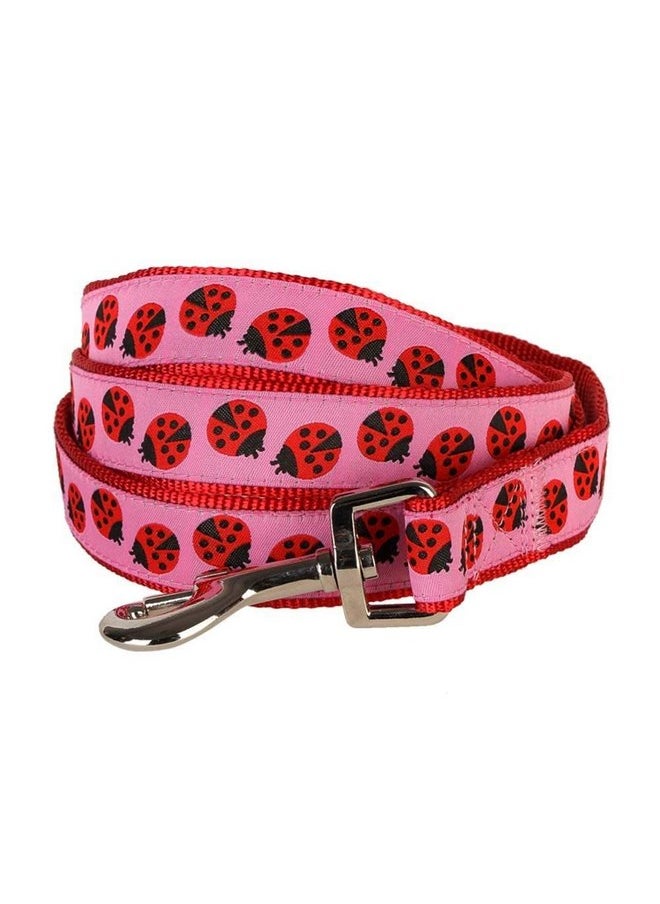 Blueberry Pet Essentials 2 Patterns Durable Pink Webbing Ladybug Designer Dog Leash 4 ft x 1", Large, Basic Nylon Leashes for Dogs - pzsku/ZAEAFED7BE1C0437DF9A4Z/45/_/1737031584/3da9ff35-f66e-4587-aec3-5e0e815a6c6a