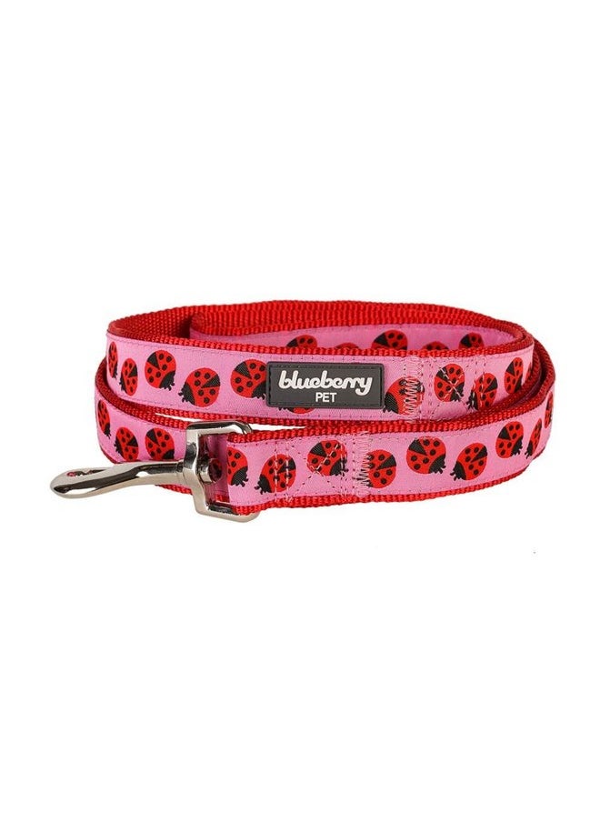 Blueberry Pet Essentials 2 Patterns Durable Pink Webbing Ladybug Designer Dog Leash 4 ft x 1", Large, Basic Nylon Leashes for Dogs - pzsku/ZAEAFED7BE1C0437DF9A4Z/45/_/1737031598/a81734cb-256d-454b-82ea-32535b9168e1