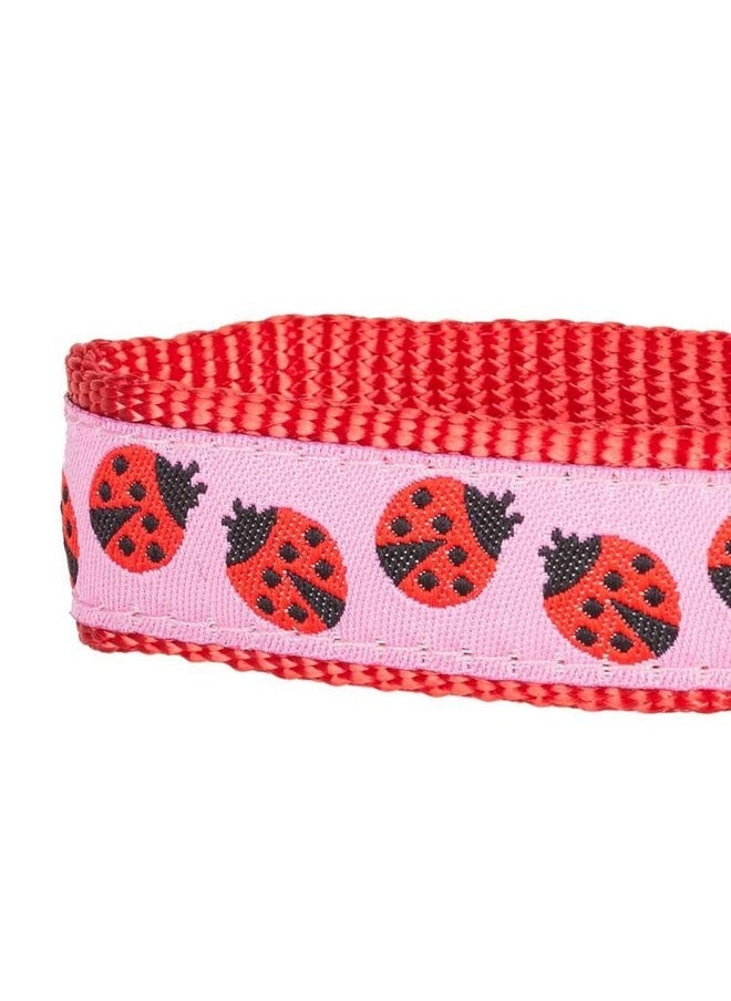 Blueberry Pet Essentials 2 Patterns Durable Pink Webbing Ladybug Designer Dog Leash 4 ft x 1", Large, Basic Nylon Leashes for Dogs - pzsku/ZAEAFED7BE1C0437DF9A4Z/45/_/1737031600/5a77c6df-c4f3-4e52-96ed-f75a3f15a2a9