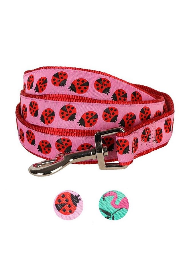 Blueberry Pet Essentials 2 Patterns Durable Pink Webbing Ladybug Designer Dog Leash 4 ft x 1", Large, Basic Nylon Leashes for Dogs - pzsku/ZAEAFED7BE1C0437DF9A4Z/45/_/1737032022/f656e08f-3535-4668-95dc-c5c9ed2dcb9f