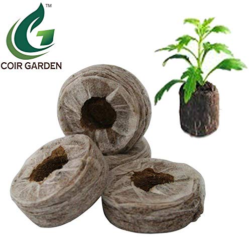 COIR GARDEN Coir Seed Germination Kit (4x4x1 cm, Pack of 20) - Image 2