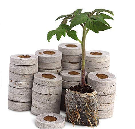 COIR GARDEN Coir Seed Germination Kit (4x4x1 cm, Pack of 20) - Image 1