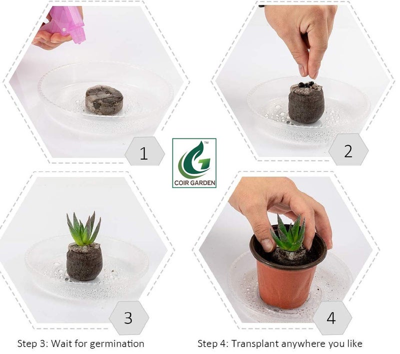 COIR GARDEN Coir Seed Germination Kit (4x4x1 cm, Pack of 20) - Image 4