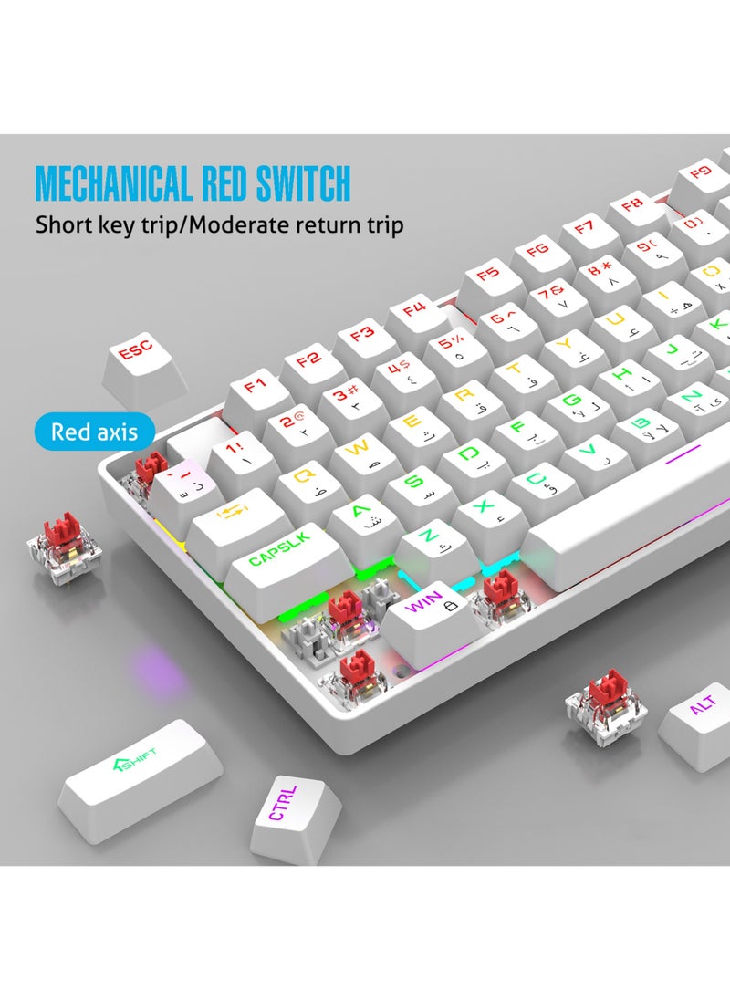 Rock Pow Gaming Keyboard Arabic English 104 Keys Mechanical Keyboard with RGB Backlit 19 Modes Wired Keyboard PBT Keycaps for PC Gaming and Working (Red Switch)  - Image 2