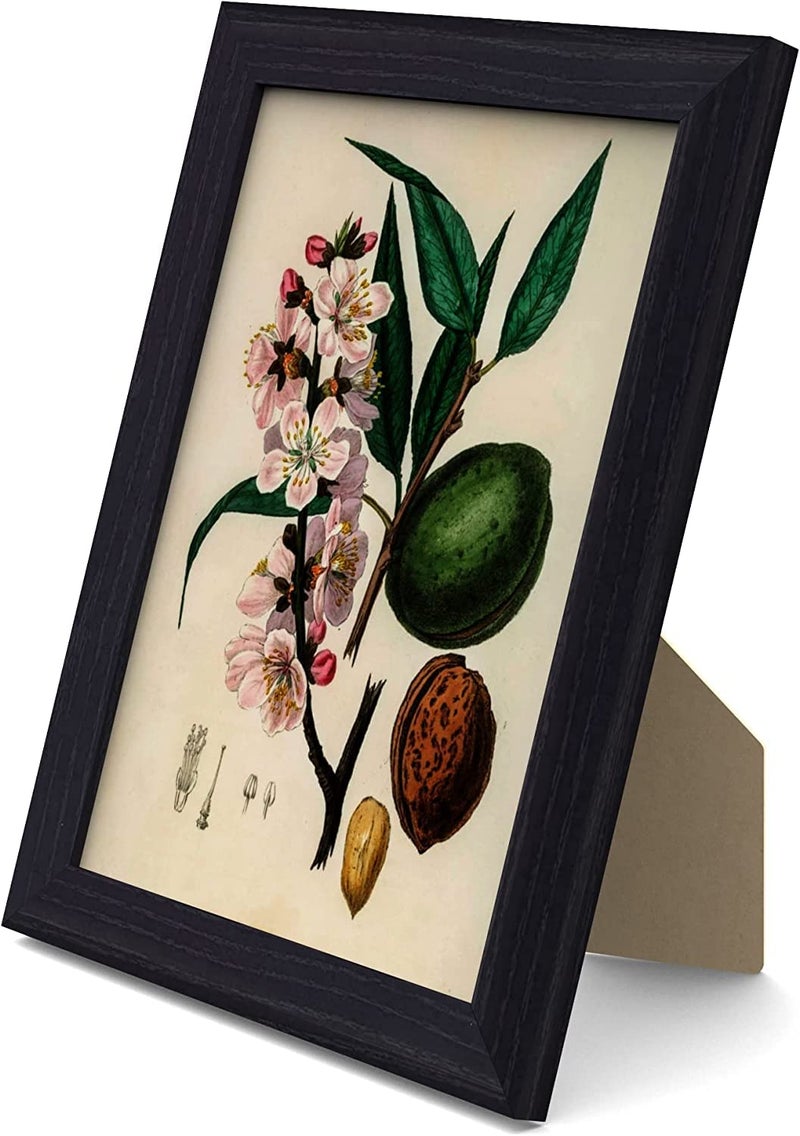 MH Traders Black A5 Picture Frame  Freestanding and Wall Mounted Photo Frame for Pictures Posters  Certificates  15 x 21 CM A5 Size Compact Picture Frames