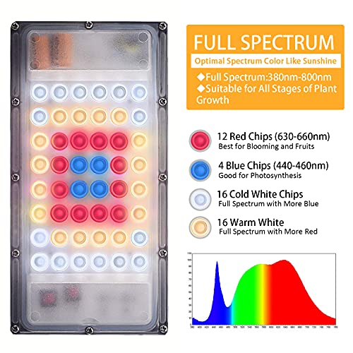 LBW Grow Light for Indoor Plants, Full Spectrum Desk LED Plant Light, Small Grow Lamp with On/Off Switch, Height Adjustable, Flexible Gooseneck, Ideal for Indoor Growth - Image 3