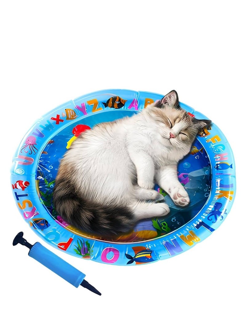 A.M Water Sensory Mat For Cats, Dogs, Babies - Image 1