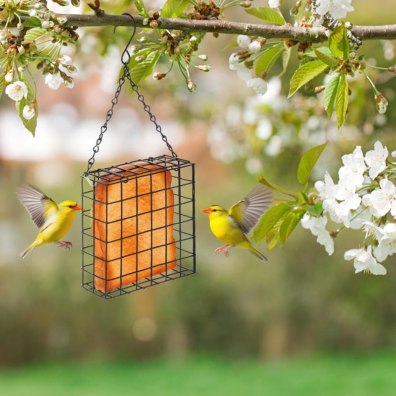 LemonRoad 3 Pcs Suet Bird Feeder for Outdoor Hanging Metal Wild Bird Suets Basket Single Suet Cake Holder Garden Cages for Outside Garden - Image 5